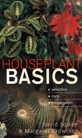 DAVID SQUIRE – Houseplant Basics