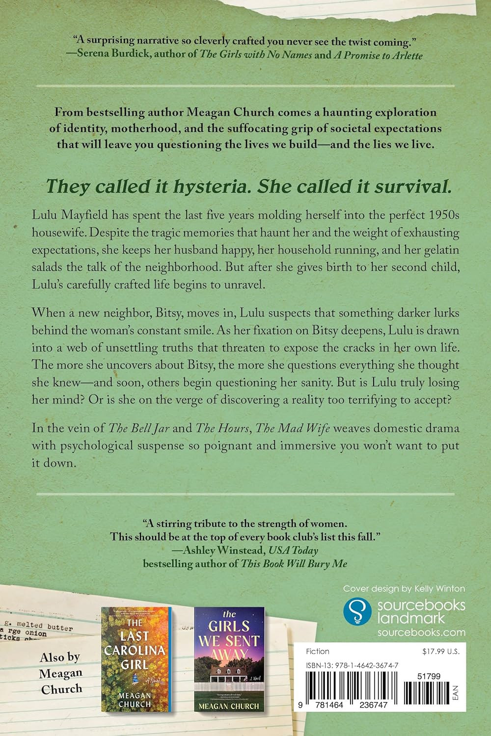 The Mad Wife: a Bestselling Novel of Motherhood and Madness
