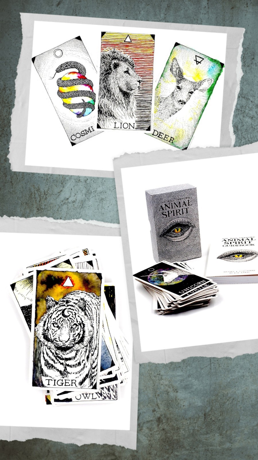 The Wild Unknown Animal Spirit Deck and Guidebook by Kim Krans