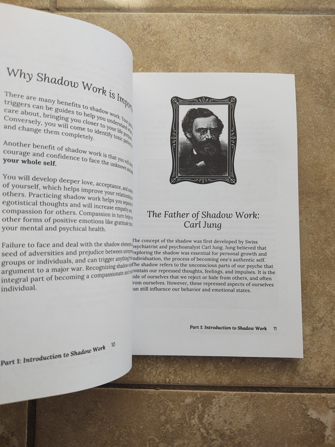 THE SHADOW WORK JOURNAL Guide Integrate & Transcend Your Shadows Self Help Book