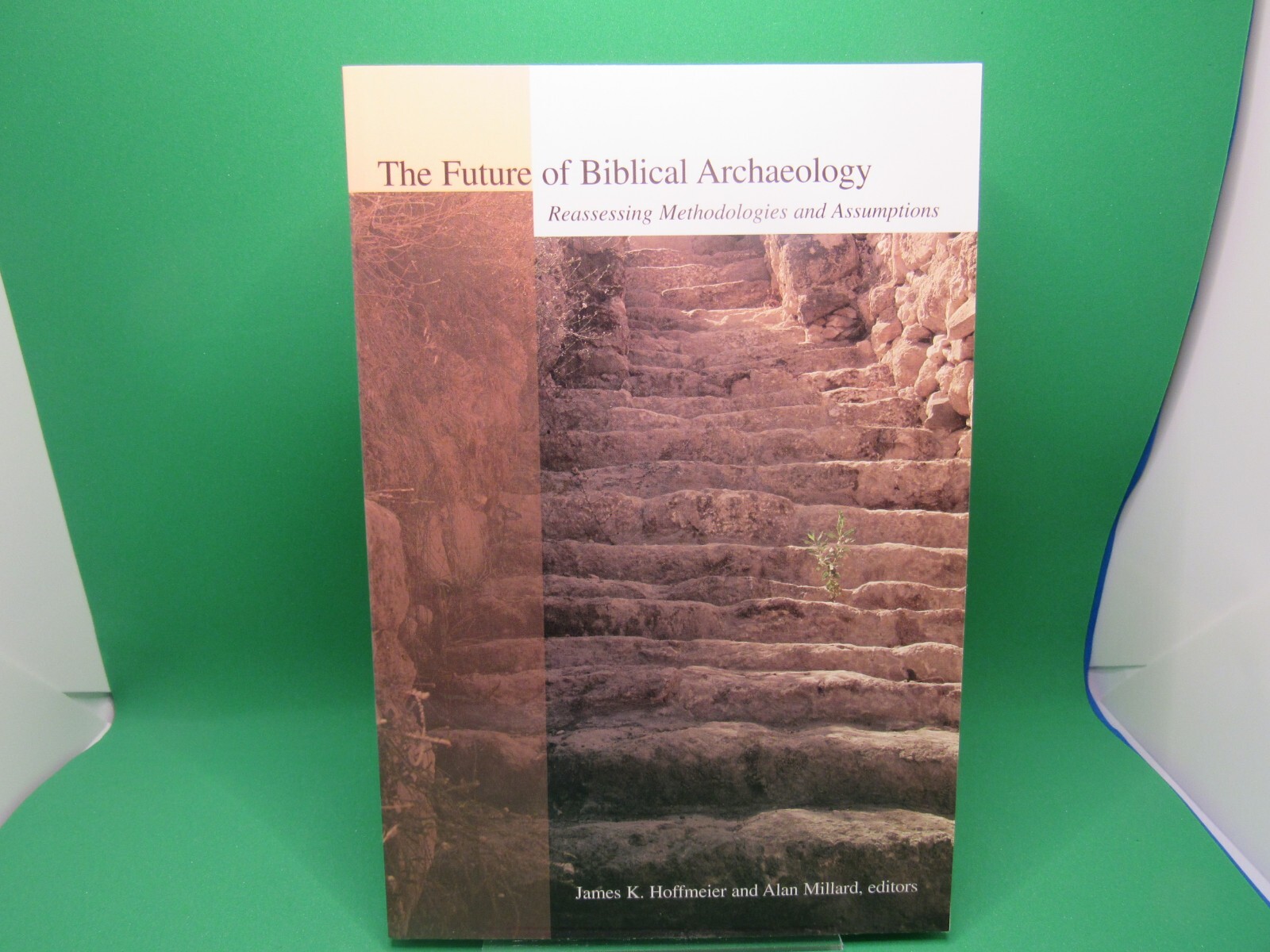 The Future of Biblical Archaeology : Reassessing Methodologies and Assumptions