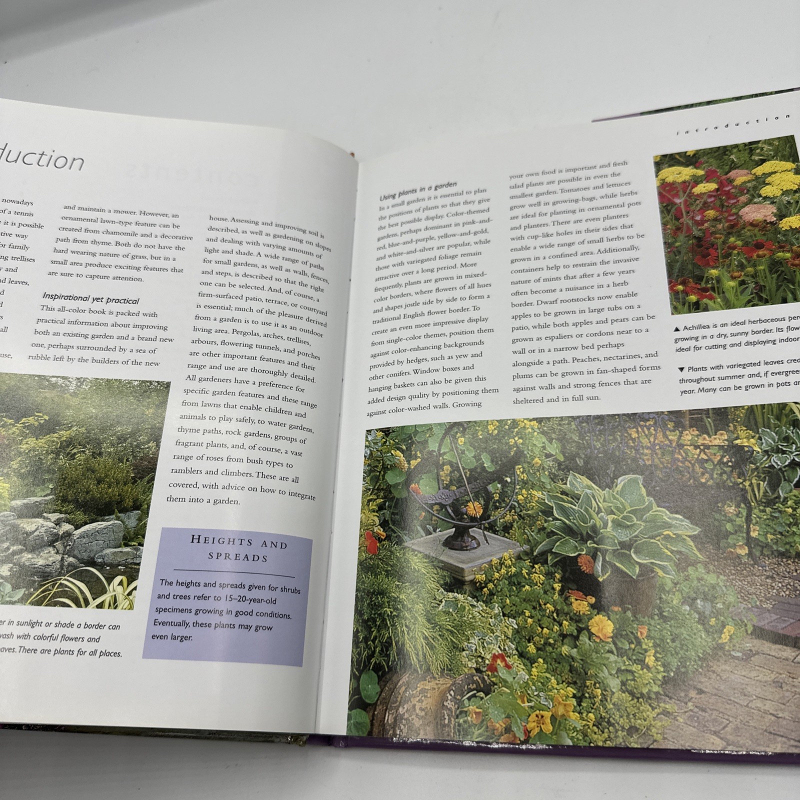 Small Gardens by David Squire (2004, Hardcover Dust Jacket)