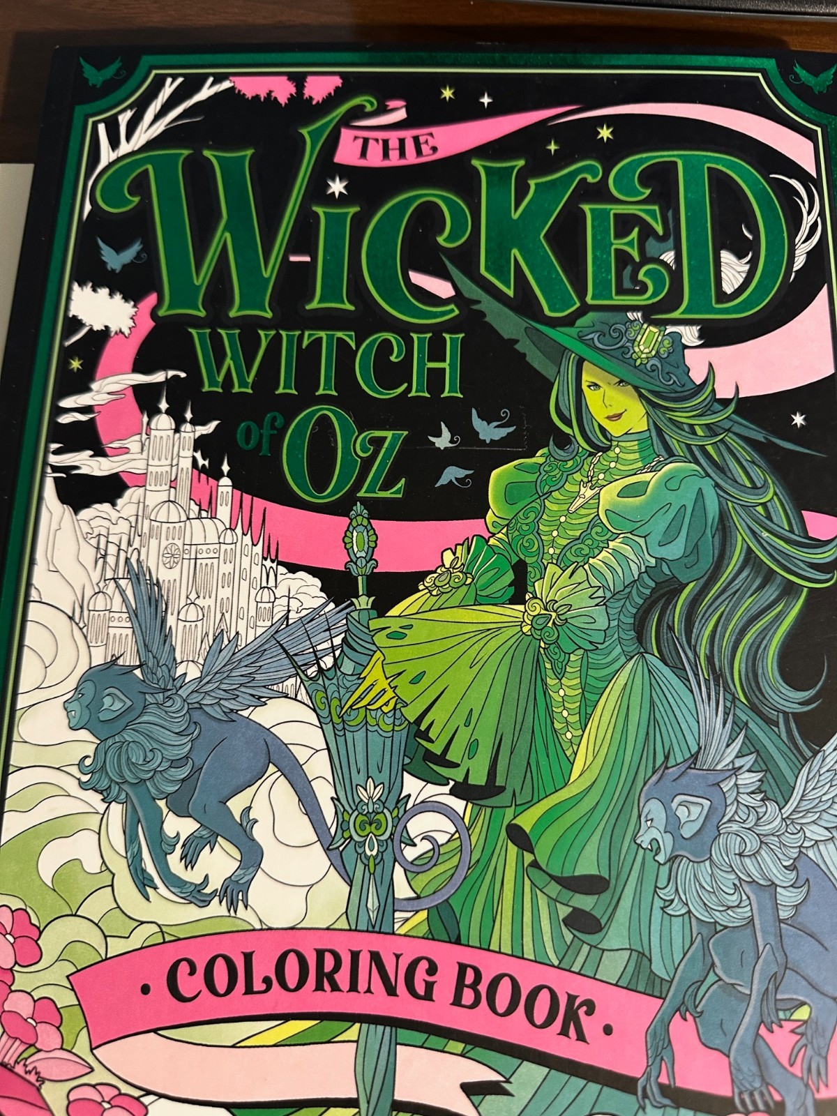 The Wicked Witch of Oz Adult Coloring Book 46 Pages brand NEW