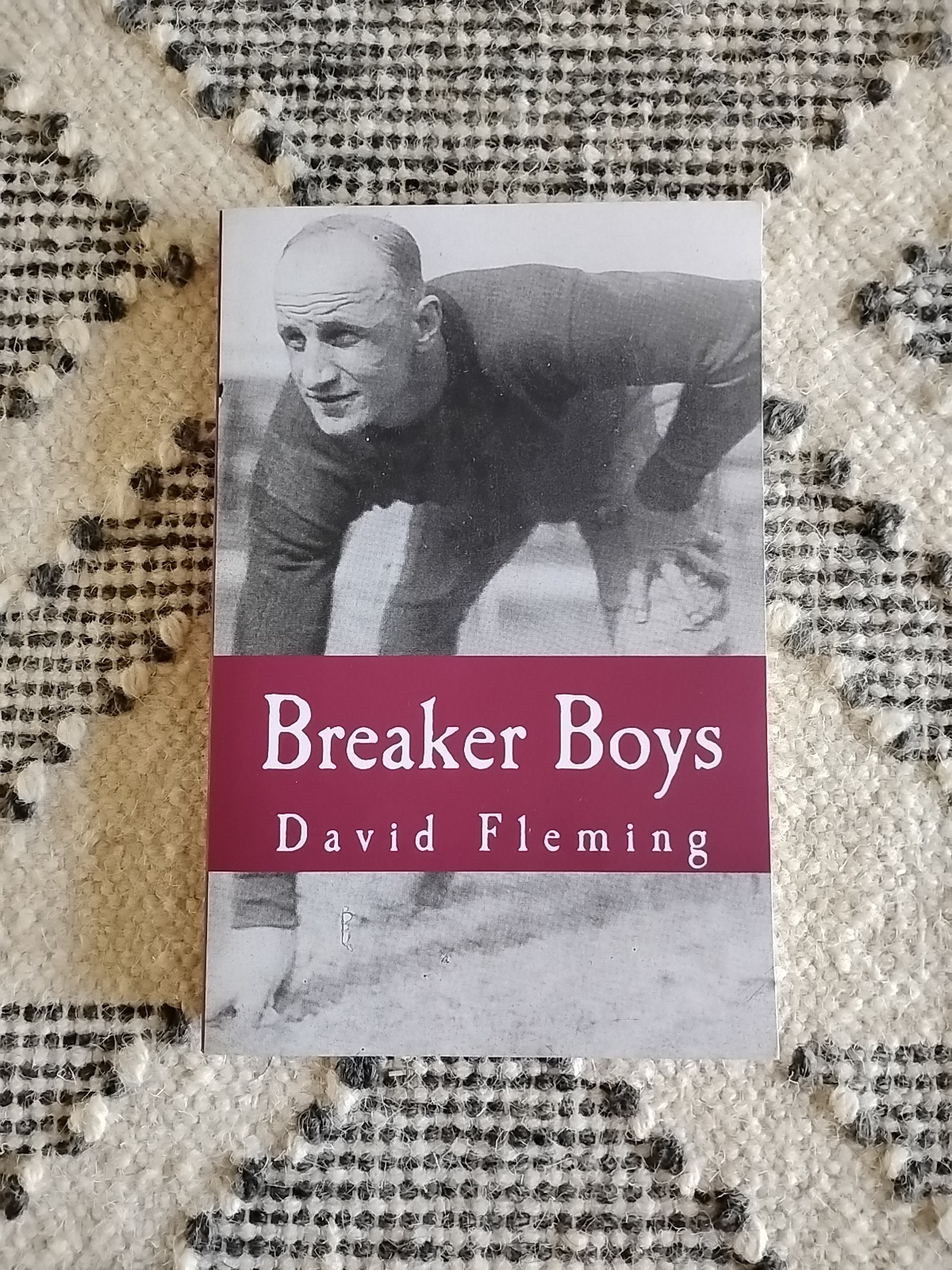 Breaker Boys by David Fleming, 2015 trade paperback
