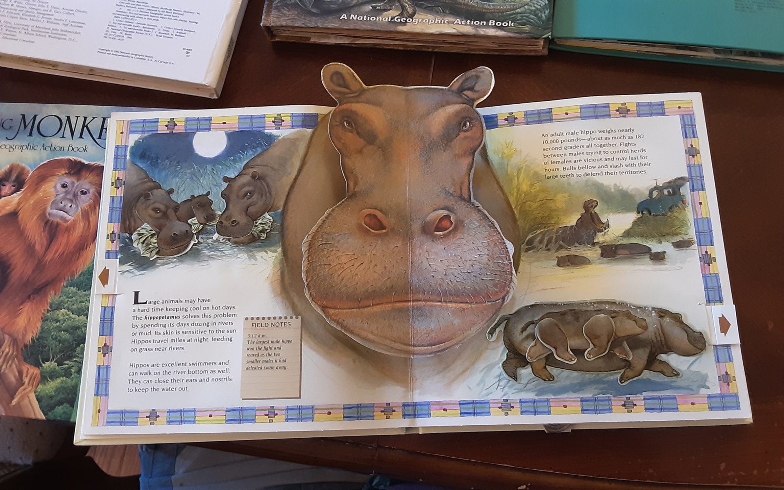 Dinosaurs National Geographic Action Book Lot 5 African Lion Australia Monkeys