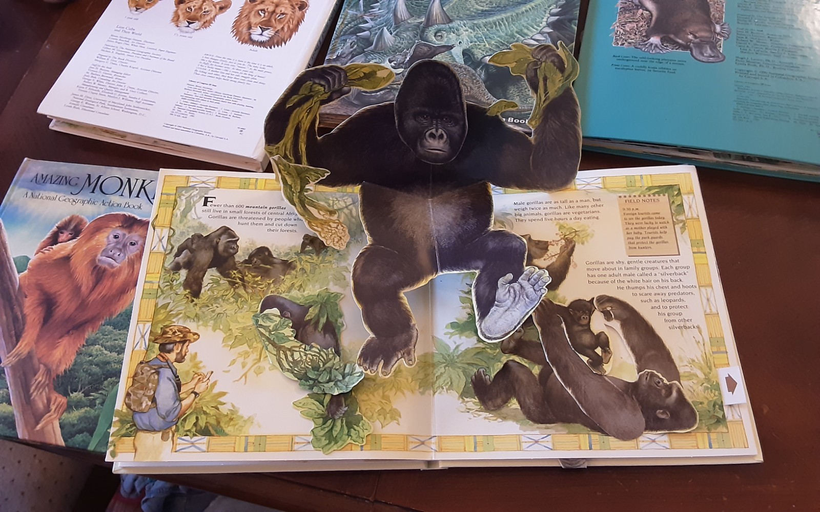 Dinosaurs National Geographic Action Book Lot 5 African Lion Australia Monkeys