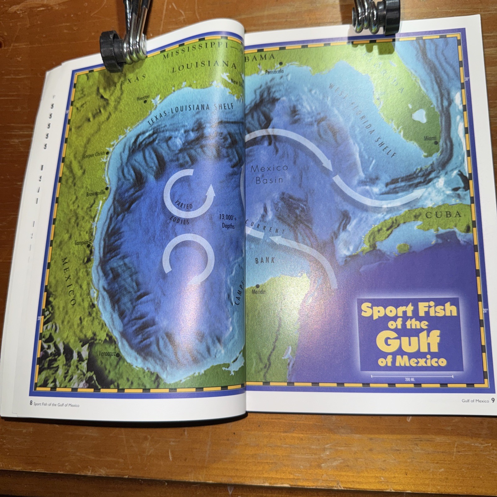 Sport Fish of the Gulf of Mexico