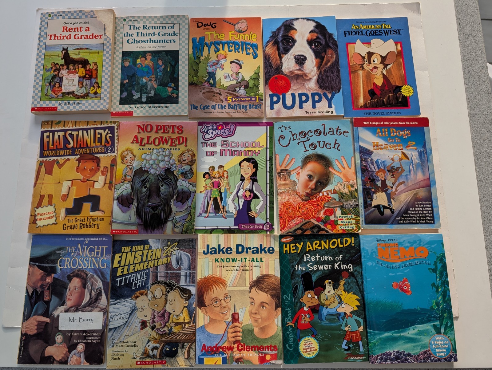 Lot of 15 Chapter Books – Ages 7-11 Great for Summer Reading