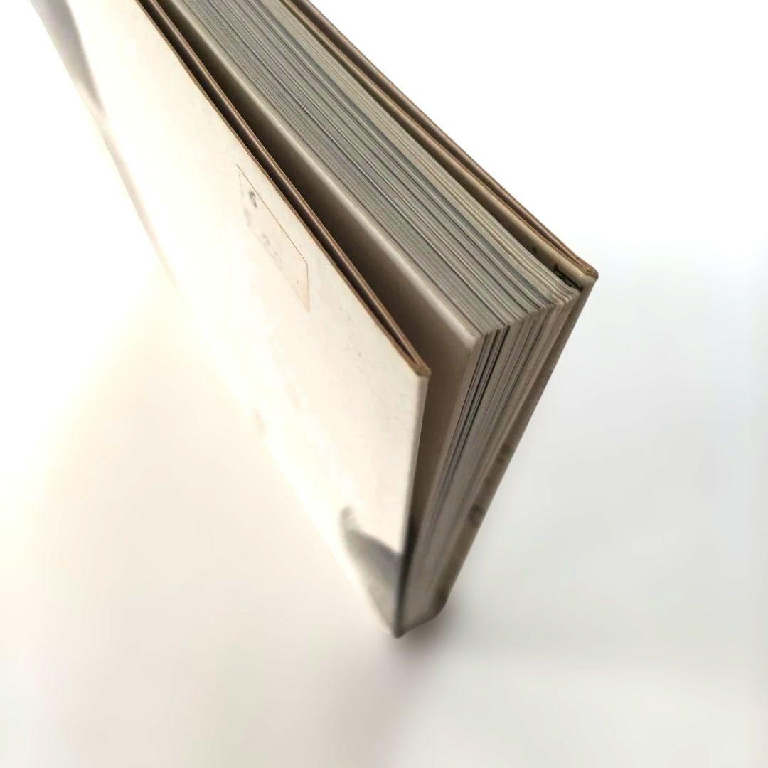 Albert Watson Mad Dog Photobook 128 pages Hardcover 9.4×11.8 inches 1997