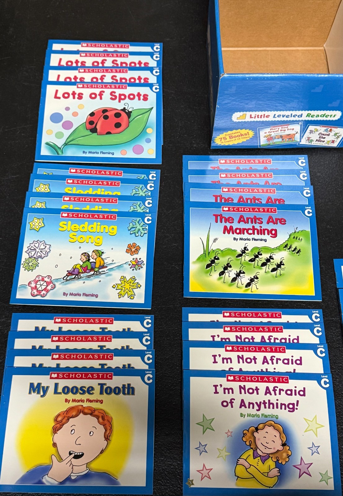 Little Leveled Readers Level C Scholastic Kindergarten 1st Grade 35 Book Lot