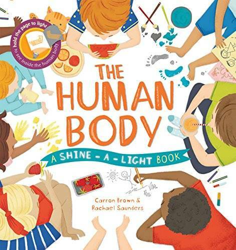 Shine-A-Light: The Human Body – Hardcover By Carron Brown – GOOD